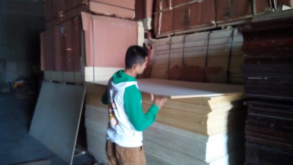 Ván ép bạch dương làm loa thùng - Hình ảnh 2