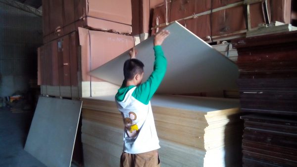 Ván ép bạch dương làm loa thùng - Hình ảnh 3