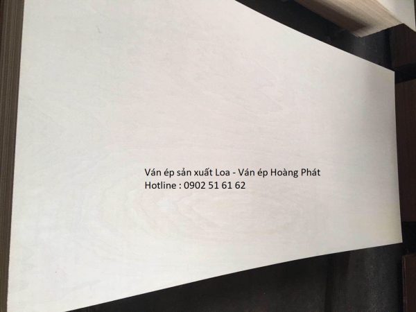Ván ép bạch dương làm loa thùng