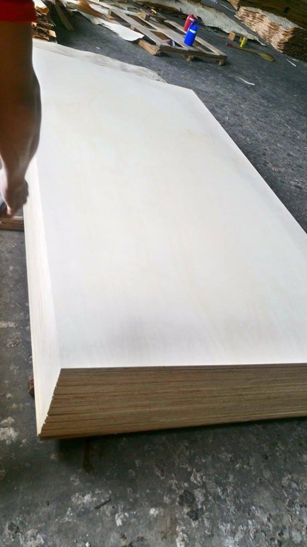 Ván ép bạch dương 03mm - Hình ảnh 2