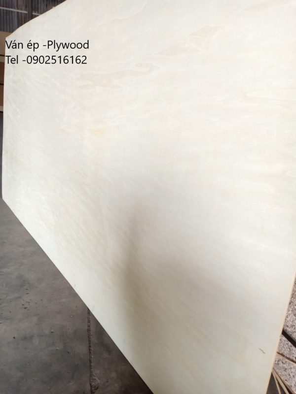 Ván ép mặt birch 18li - Hình ảnh 3