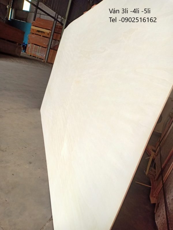Ván ép mặt birch 18li - Hình ảnh 2