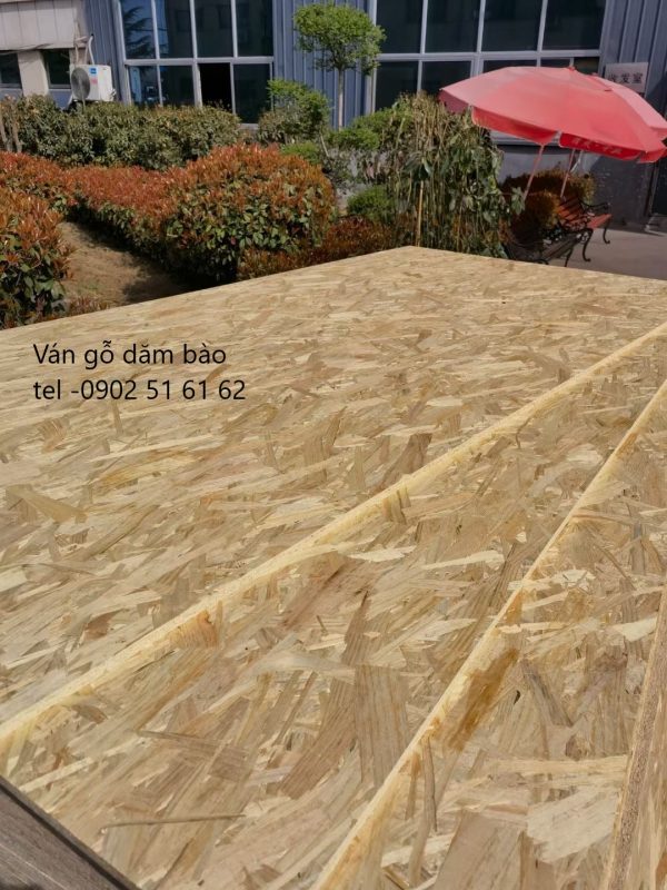 Ván Gỗ OSB Nga - Hình ảnh 3