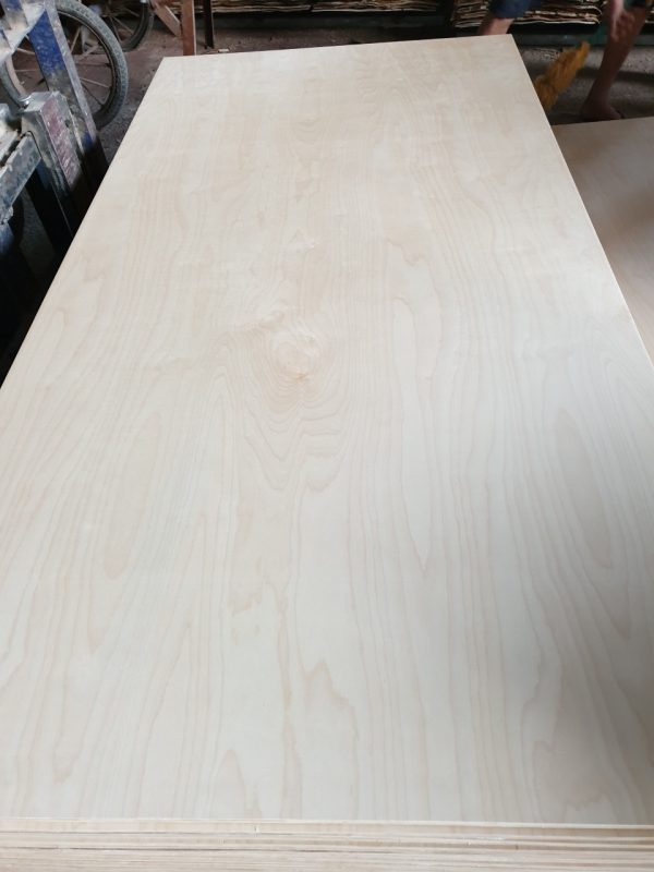 Ván ép mặt gỗ birch 5li - Hình ảnh 9