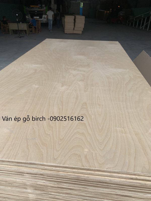 BẢNG GIÁ VÁN PLYWOOD MẶT BIRCH - Hình ảnh 9