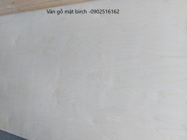 Báo giá ván ép mặt birch - Hình ảnh 7