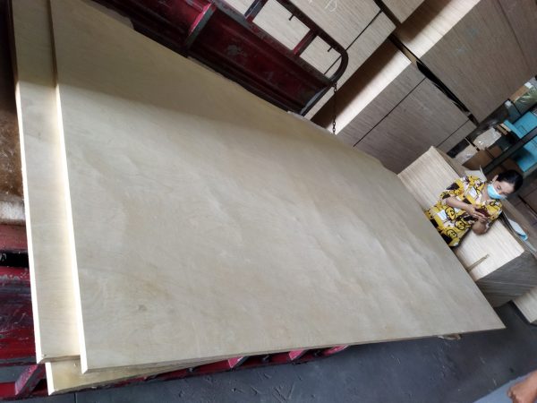 BẢNG GIÁ VÁN PLYWOOD MẶT BIRCH - Hình ảnh 7