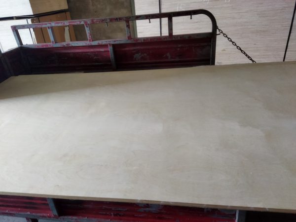 Ván ép gỗ birch - Hình ảnh 4