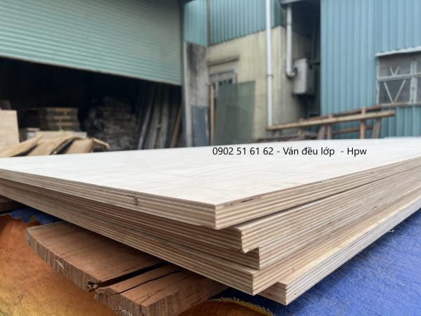 BẢNG GIÁ VÁN PLYWOOD MẶT BIRCH - Hình ảnh 4