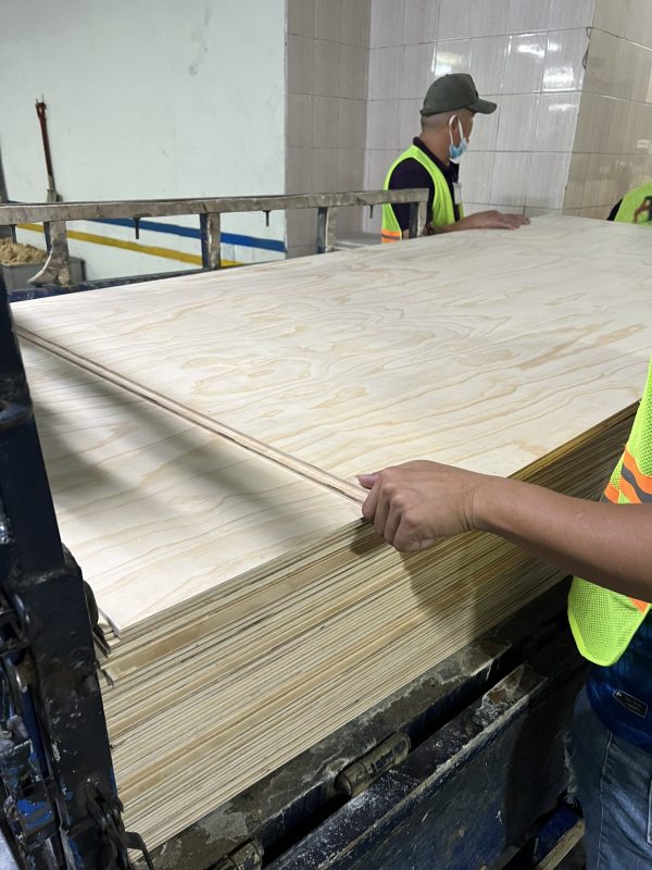 Ván ép chịu nước Hoàng Phát - Hình ảnh 3