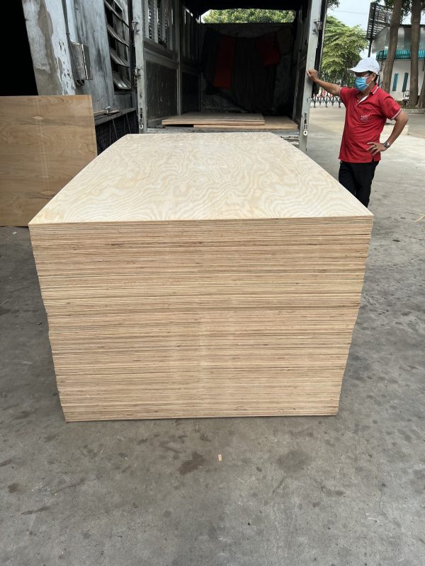 Ván plywood chịu nước -  Hoàng Phát - Hình ảnh 5