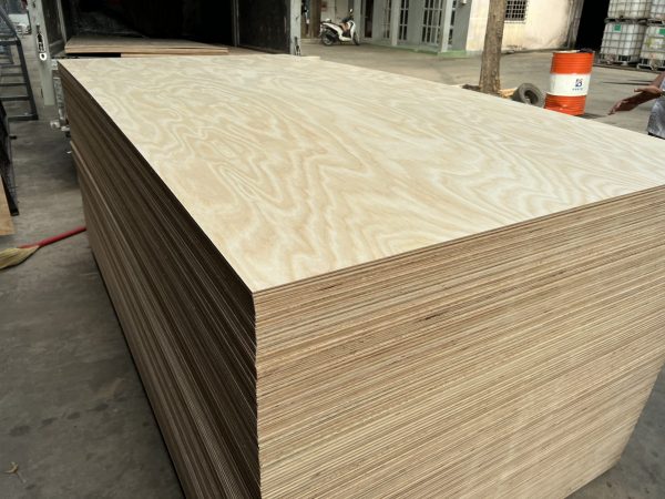 Ván plywood chịu nước -  Hoàng Phát - Hình ảnh 4