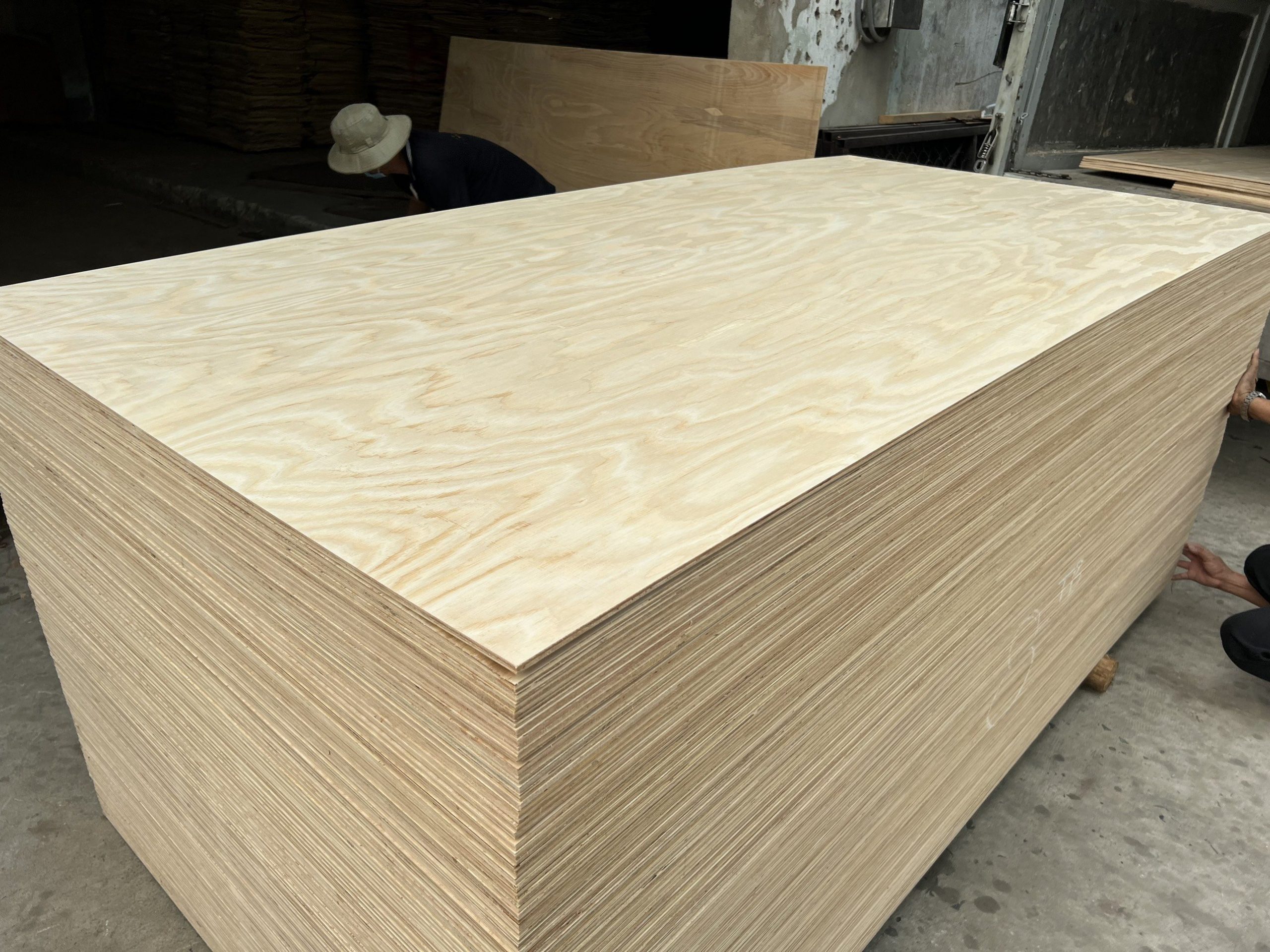  Ván plywood chịu nước - Hoàng Phát