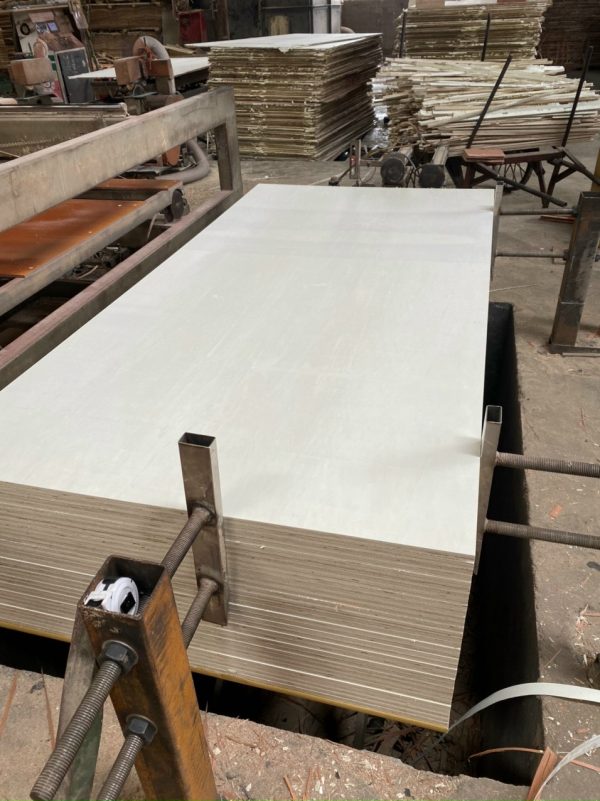 ván plywood gỗ bạch dương - Hình ảnh 2