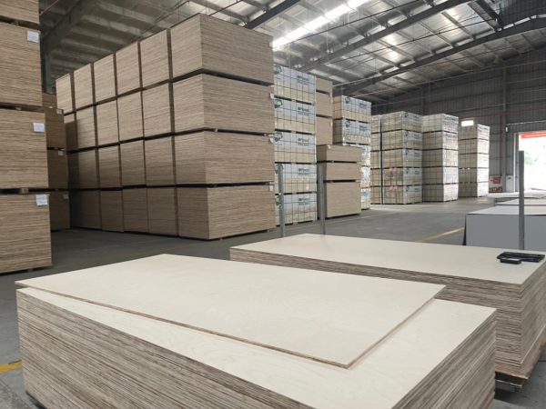 ván ép gỗ bạch dương làm nội thất