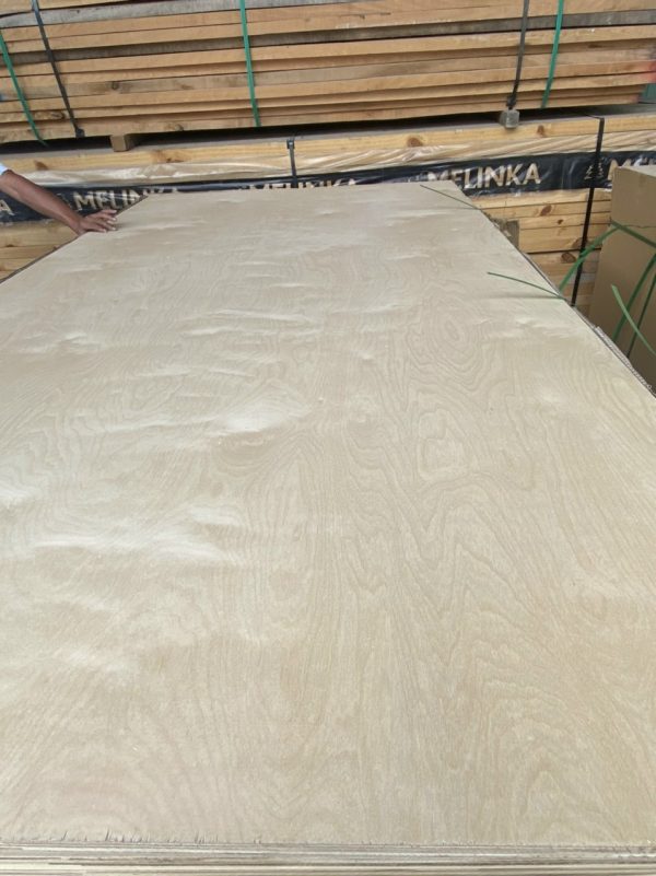 BẢNG GIÁ VÁN PLYWOOD MẶT BIRCH - Hình ảnh 2