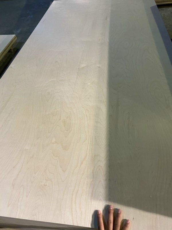 BẢNG GIÁ VÁN PLYWOOD MẶT BIRCH - Hình ảnh 3