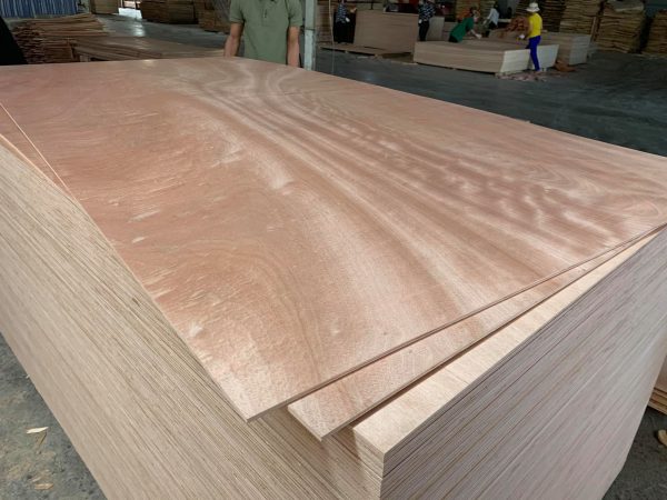 Ván ép mặt gỗ tần bì 3mm - Hình ảnh 7