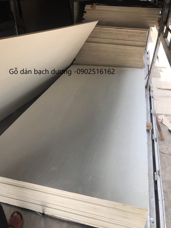Gỗ plywood cốt bạch dương - Hình ảnh 4