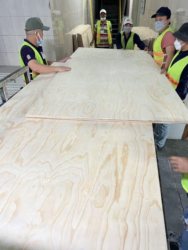 Gỗ plywood cốt bạch dương - Hình ảnh 5