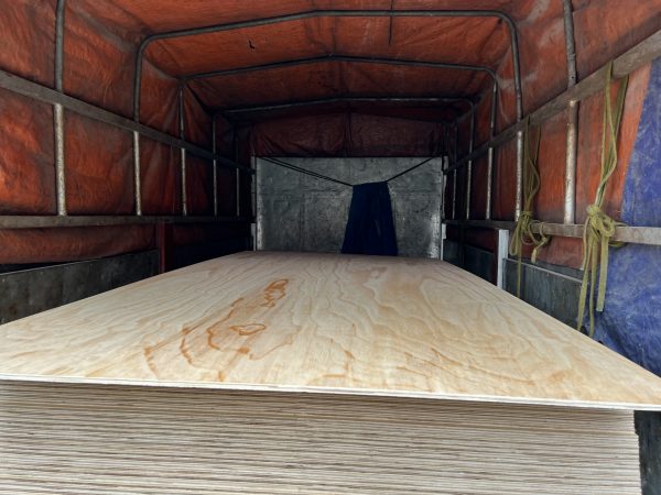Ván ép loại gỗ thông -Mặt gỗ thông - Hình ảnh 6