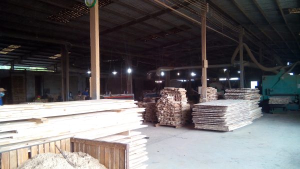 Ván ép loại gỗ thông -Mặt gỗ thông - Hình ảnh 2