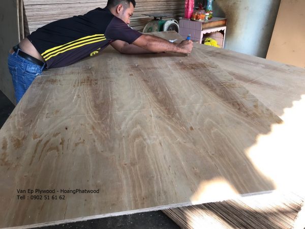 Giá ván ép plywood chất lượng rẻ