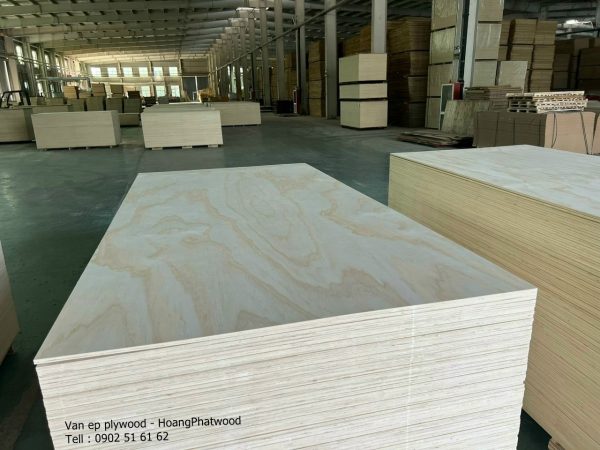 Ván ép Hpw - Tiêu chuẩn ván ép - Bảng giá ván ép Hpw - Cấu tạo ván ép - Hình ảnh 4