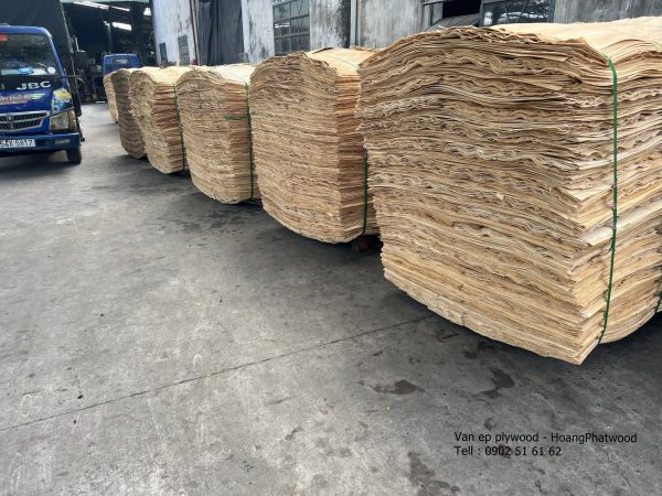 Giá ván ép plywood chất lượng rẻ - Hình ảnh 5