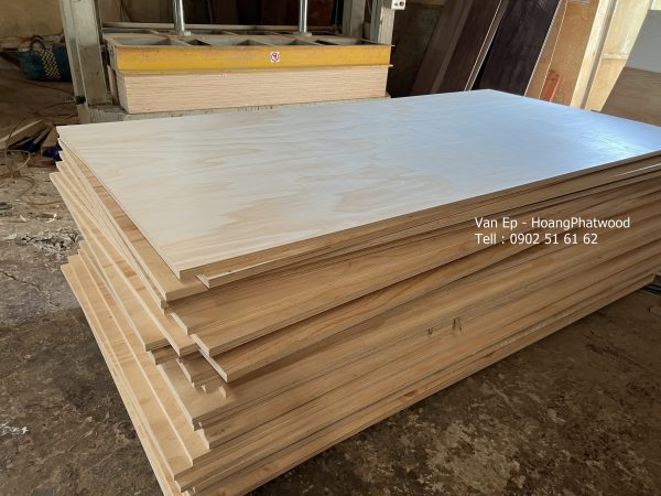 Gỗ ván ép 5mm cắt cnc - Hình ảnh 2