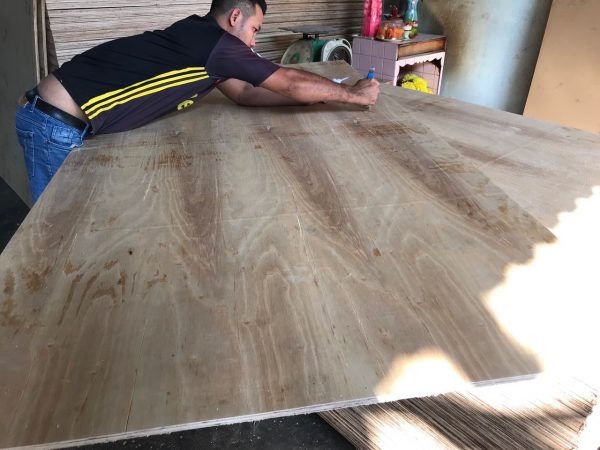 Bảng giá ván ép (Plywood) loại rẻ 2023 - Hình ảnh 6