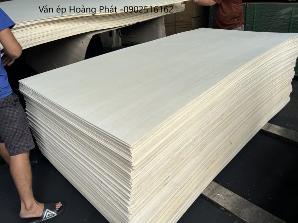 Ván ép mỏng gỗ thông - gỗ bạch dương - Hình ảnh 6