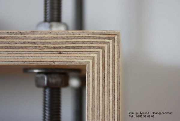Ván plywood Nga - Plywood nhập khẩu Nga - Hình ảnh 3