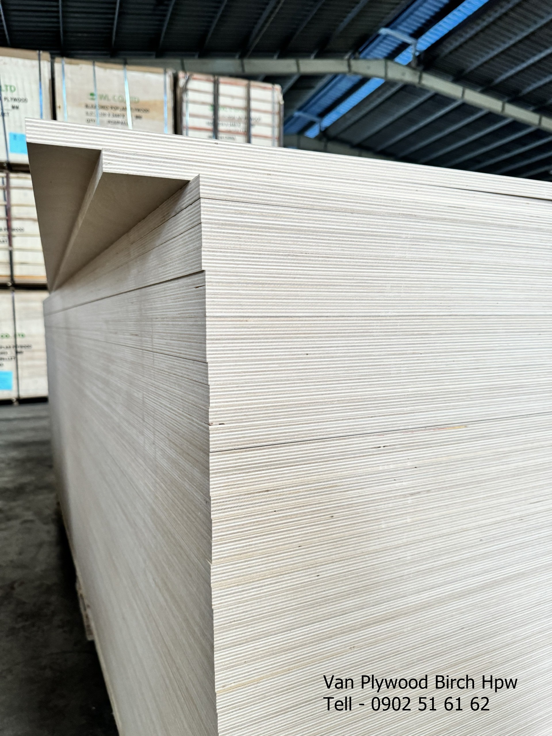 Giá ván ép plywood - Dòng plywood gỗ birch