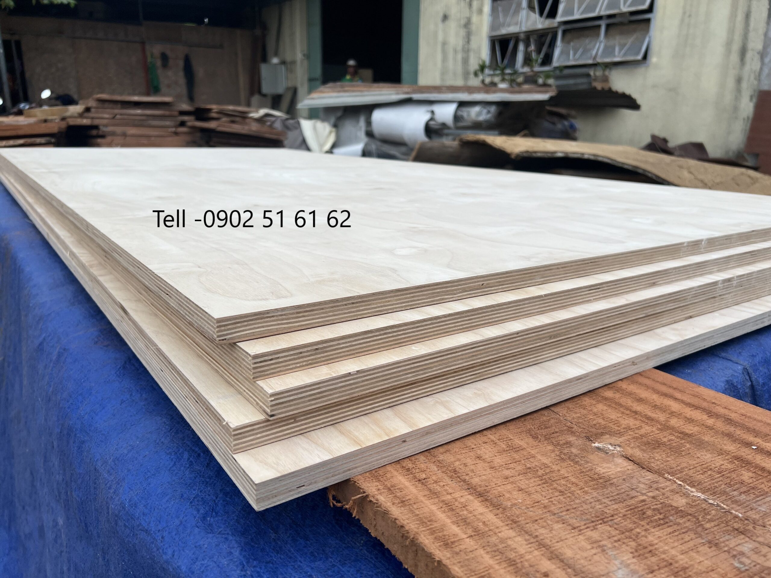 Dòng ván plywood cốt nguyên lớp - Hàng cao cấp 
