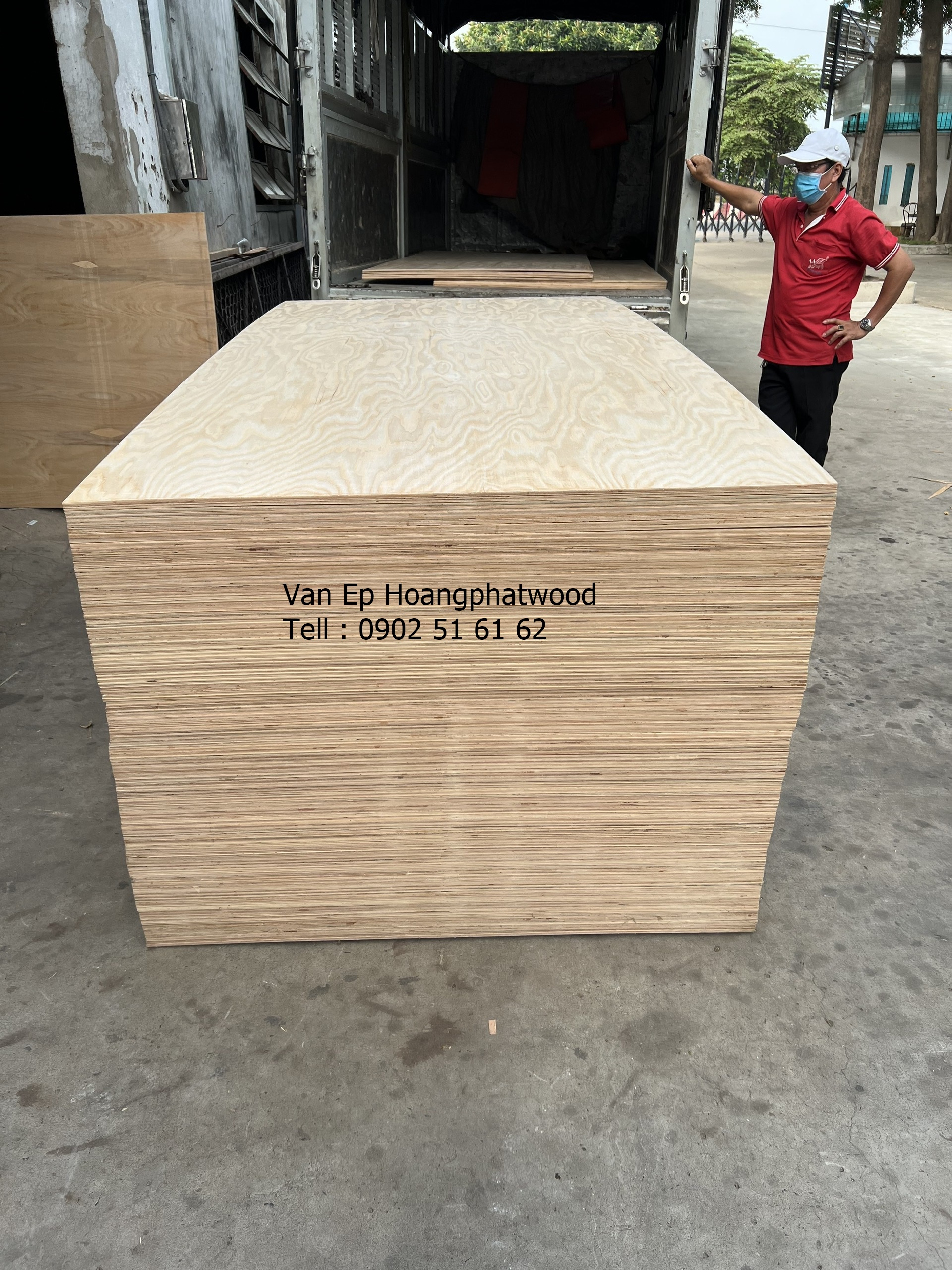 Dòng ván ép plywood - Mặt gỗ tần bì (Ash) tự nhiên