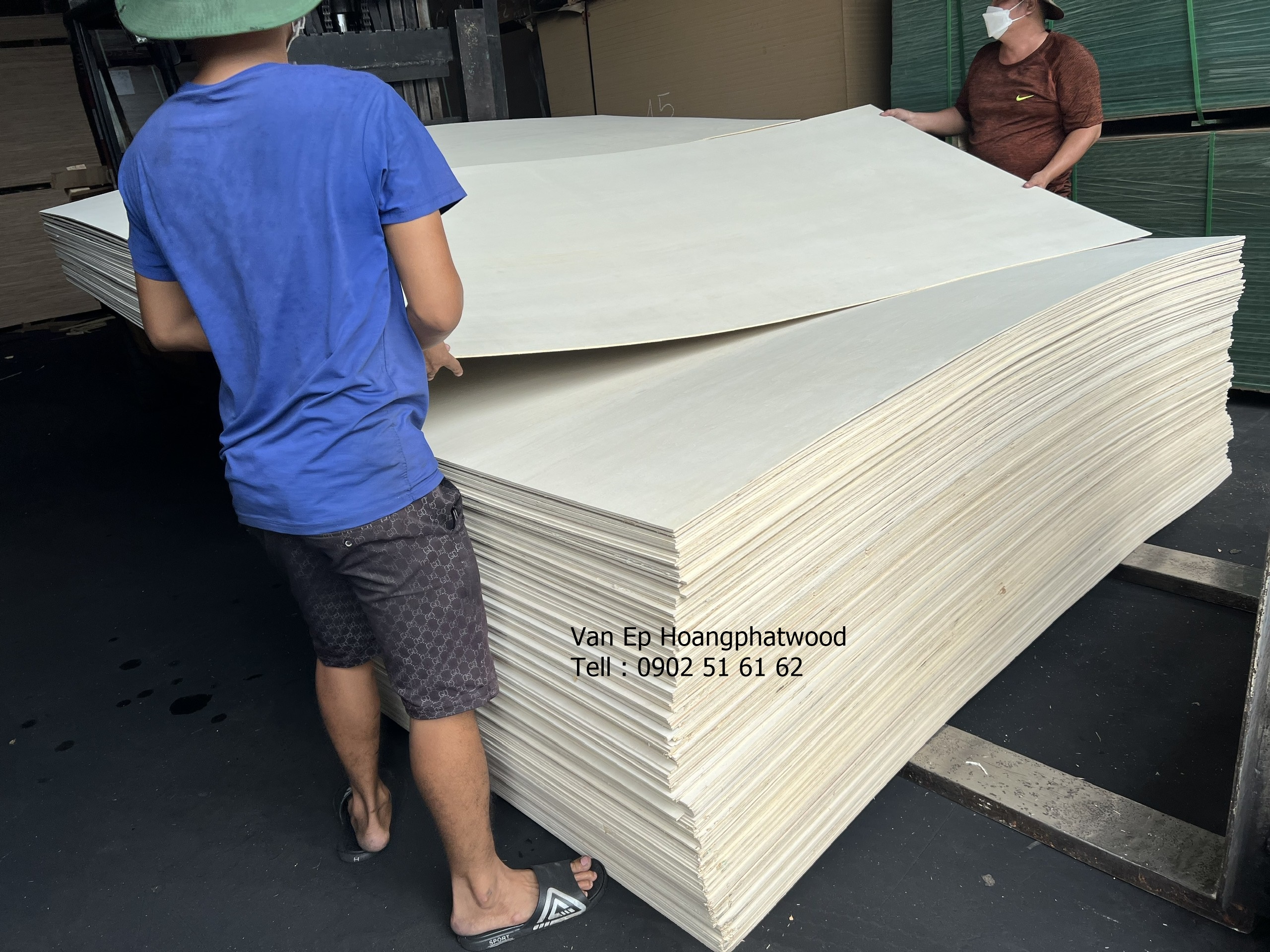 Dòng ván ép plywood - gỗ bạch dương