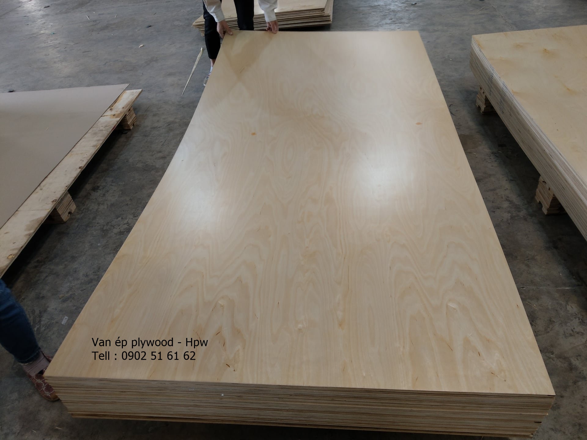 Dòng ván ép plywood - gỗ Birch