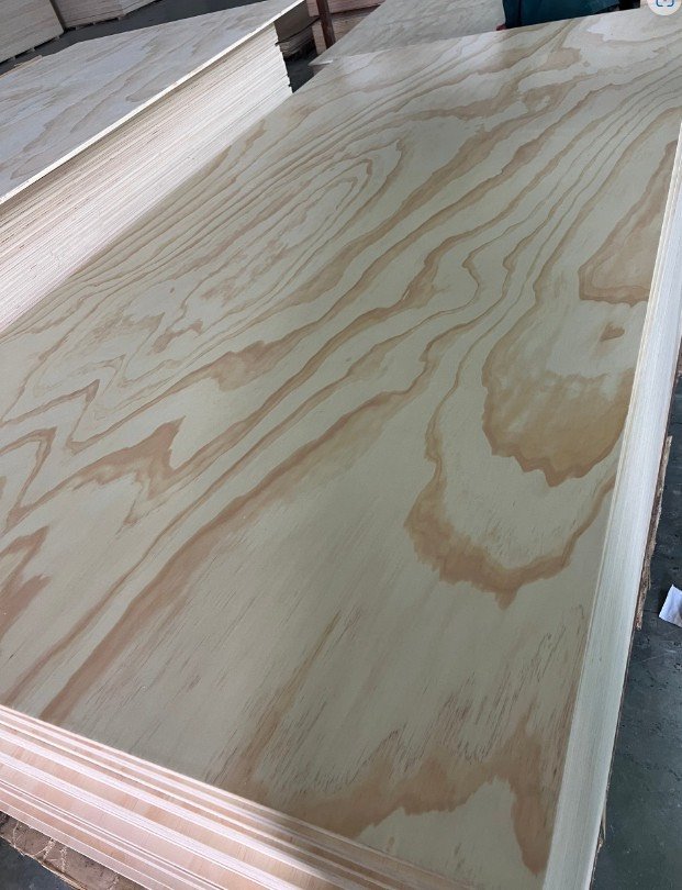 Dòng ván ép plywood - gỗ thông -Pine