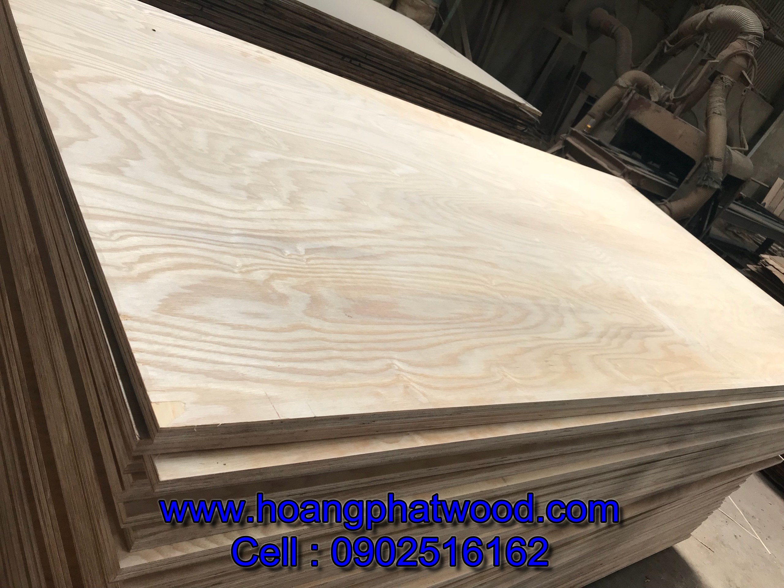 Công Ty Sản Xuất Ván Ép Plywood Hàng Đầu Tại Việt Nam- Ván ép hoàng phát - Gỗ ván ép hoàng phát - Ván plywood hoàng phát