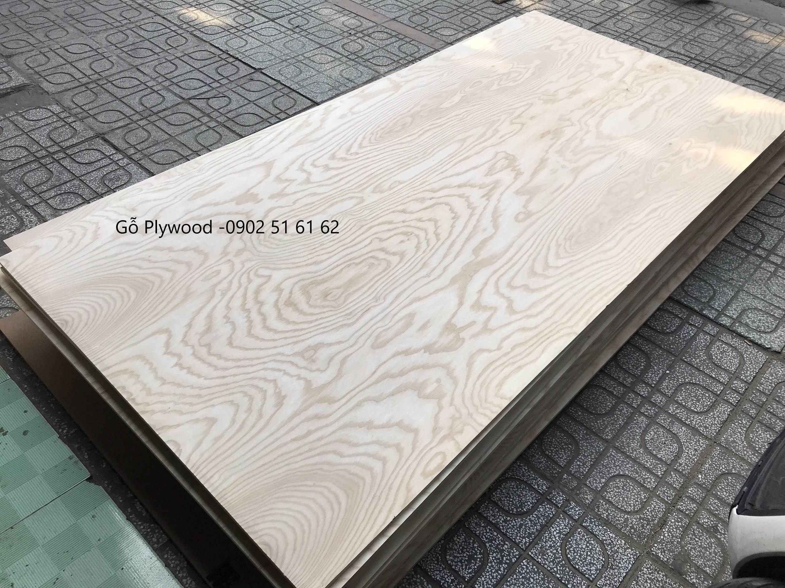 Bảng Giá Gỗ Plywood – Giá Ván Ép Plywood 2025 - Dòng gỗ tần bì (Ash)