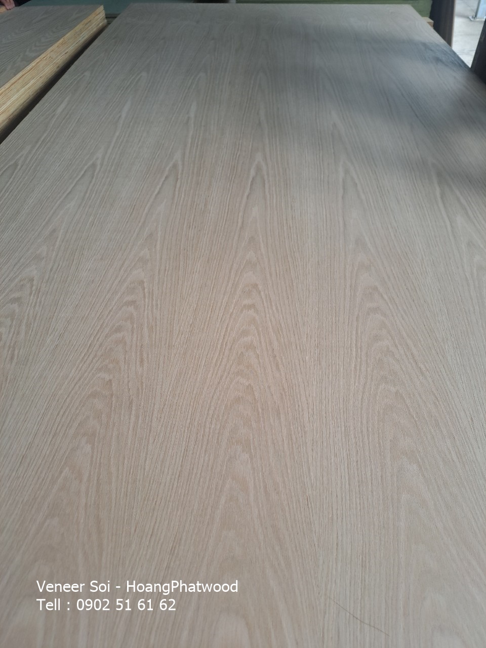 Giá ván ép plywood phủ veneer có đắt không?- Mặt veneer sồi tự nhiên - Veneer gỗ sồi bông