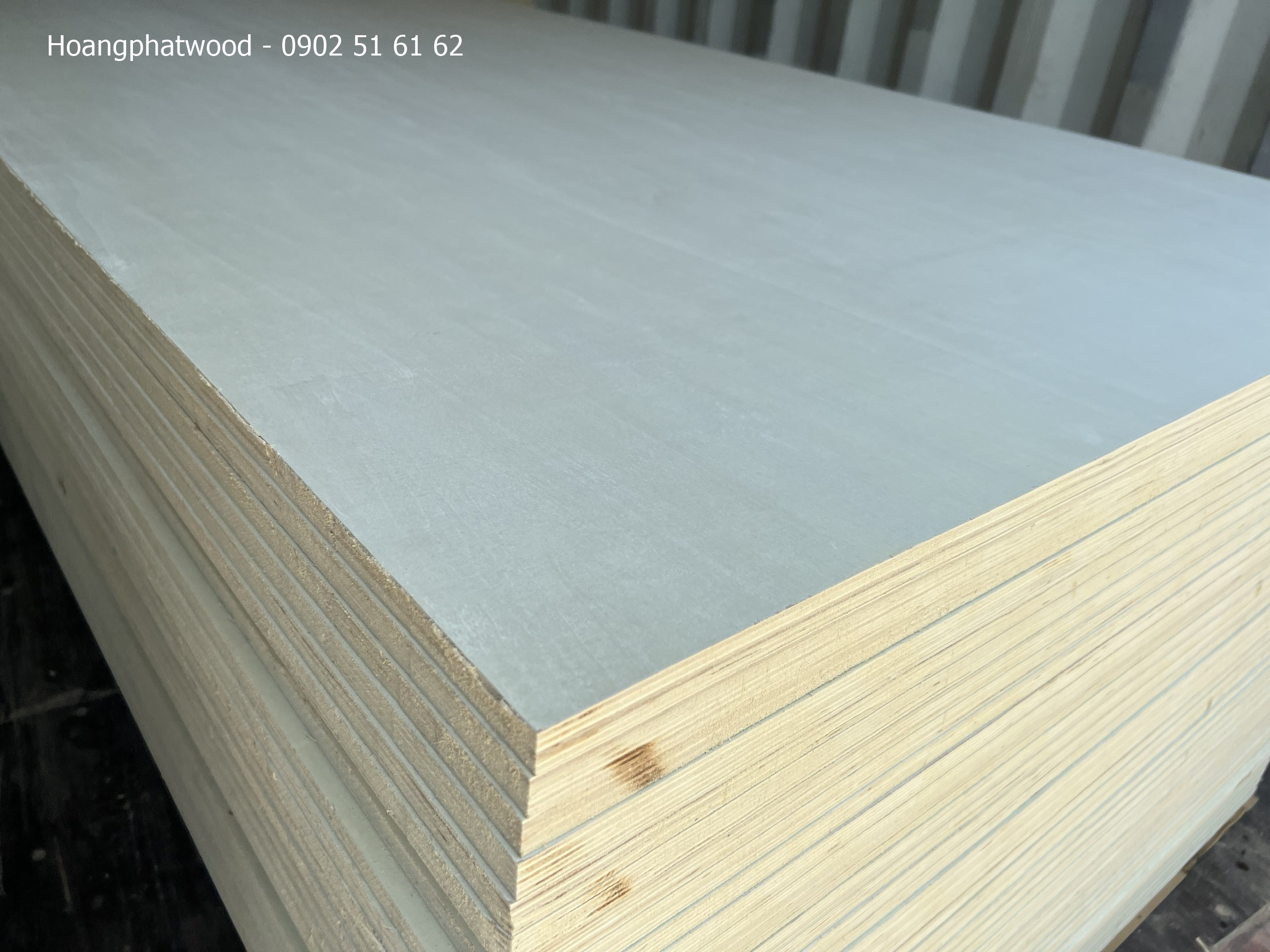 Ván Ép Plywood Có Mấy Loại? Phân Loại Chi Tiết- Dòng ván plywood gỗ bạch dương