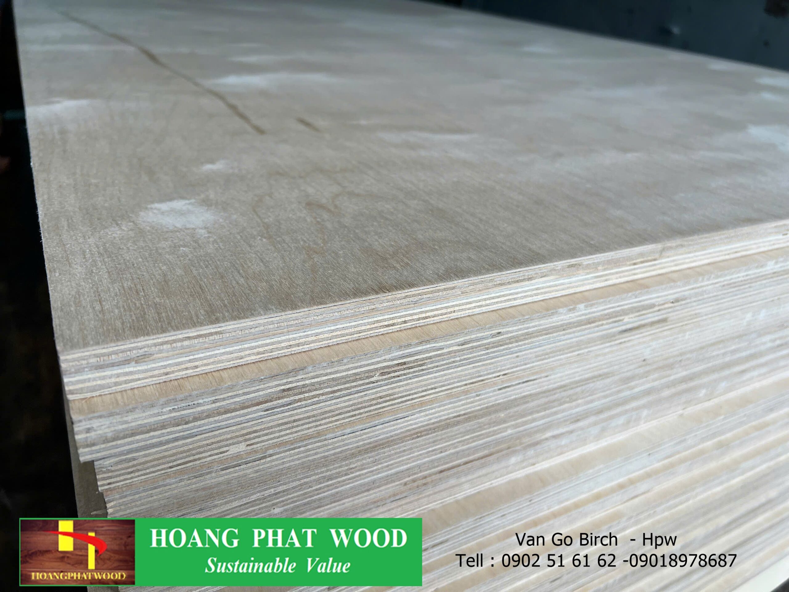 Lô hàng gỗ plywood cạnh lớp thẳng đều - Hoangphatwood