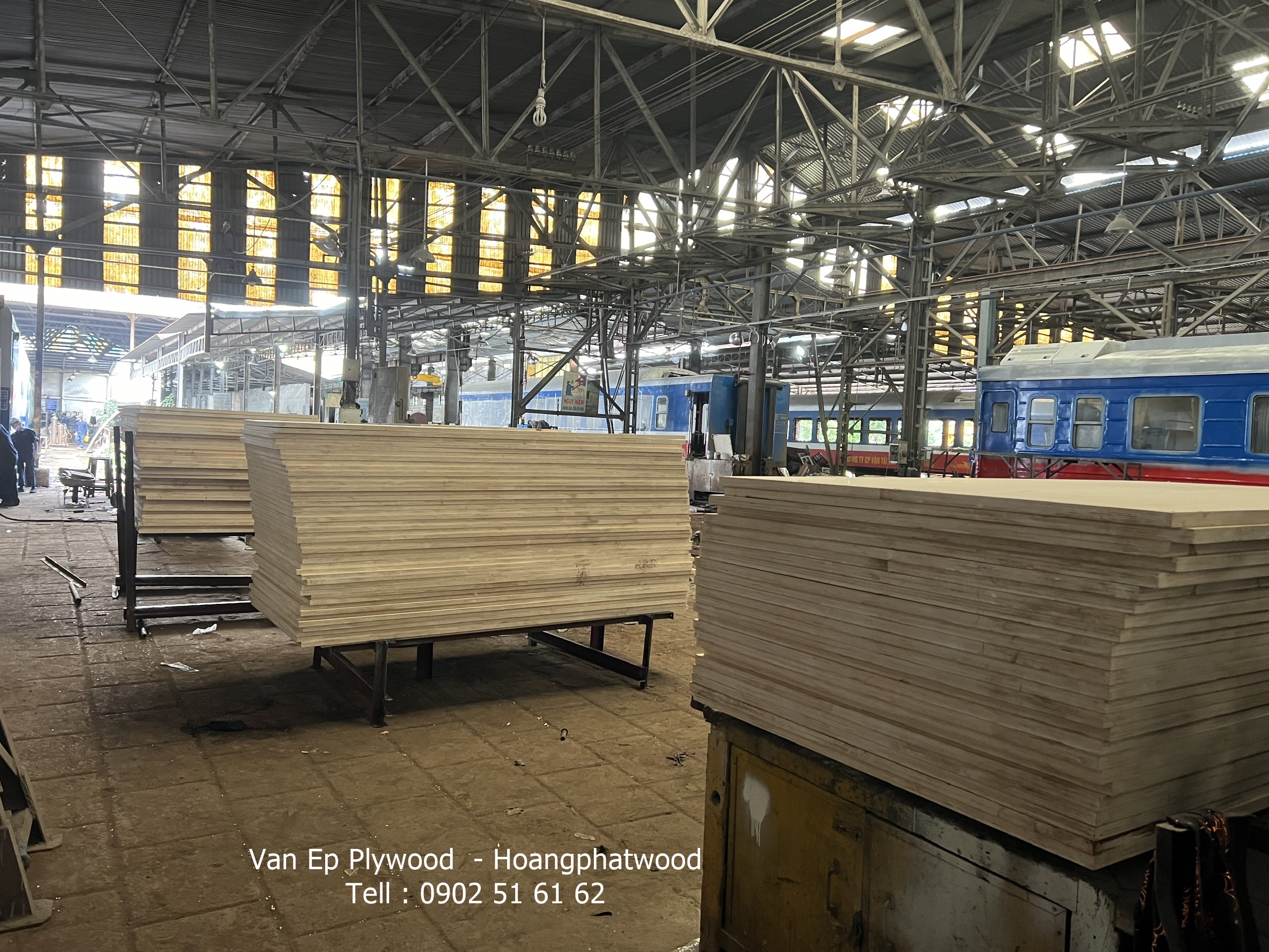 Ván ép Plywood có độc hại không? Sự thật cần biết- Nhà máy sản xuất ván ván -plywood Hoàng Phát