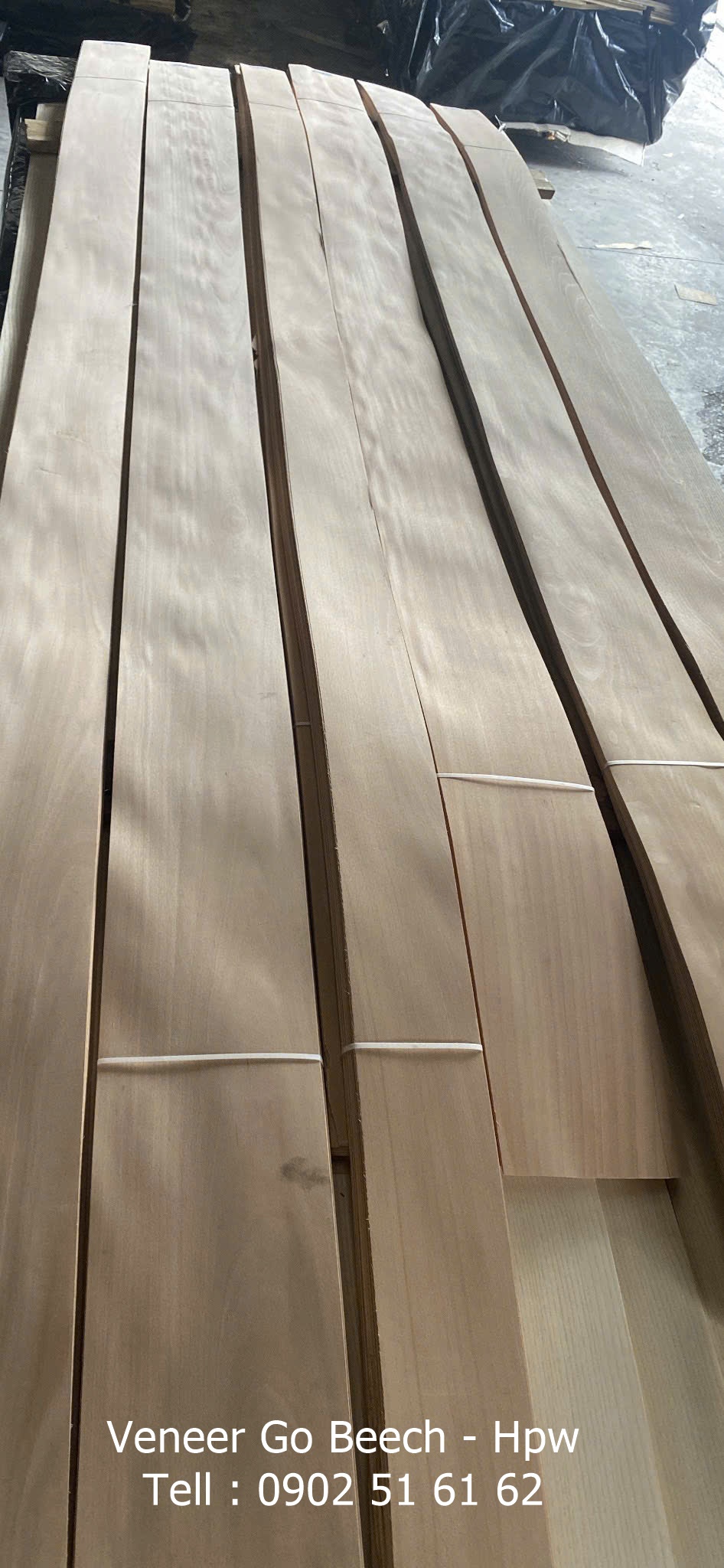 Veneer dòng gỗ beech vân bông làm nội thất Hpw