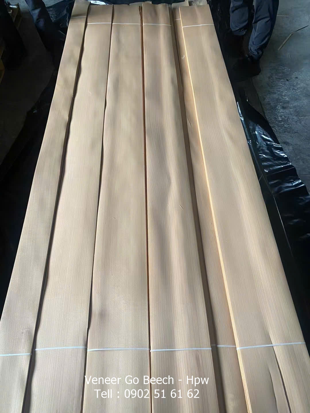 Veneer gỗ Beech vân sọc - Bề mặt hoàn thiện