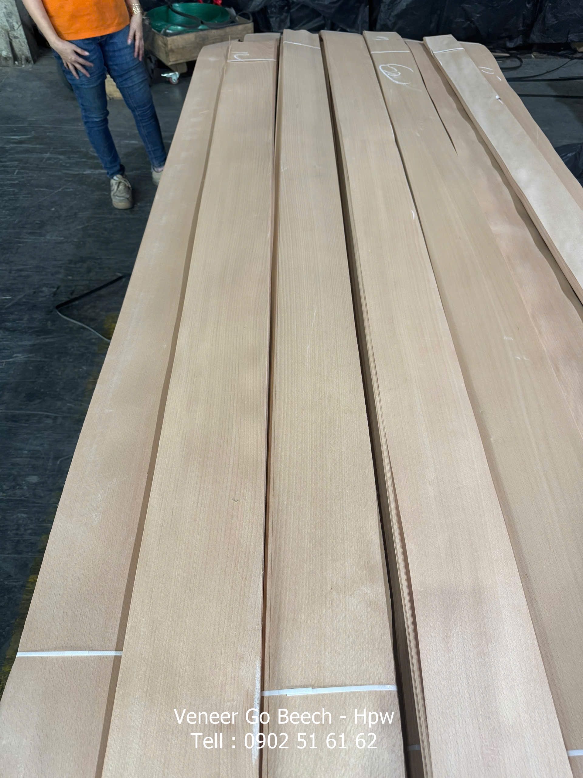 Veneer gỗ Beech - Gỗ dẻ gai
