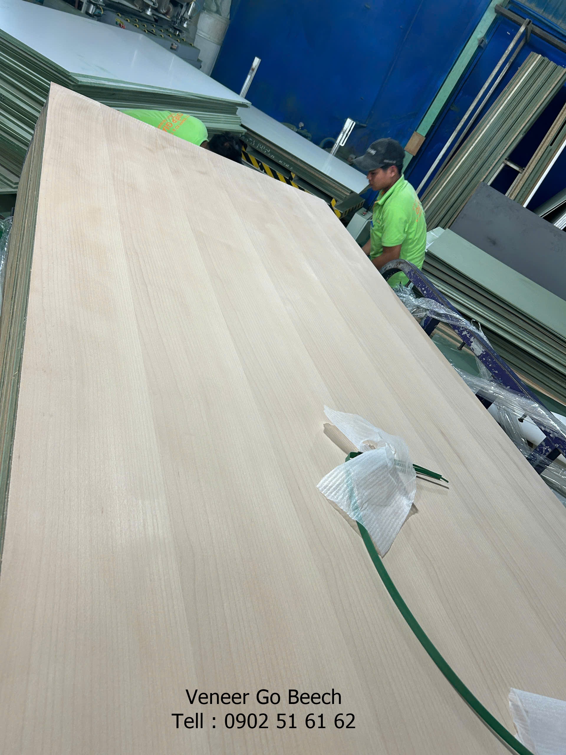 Ván ép veneer gỗ Beech làm nội thất