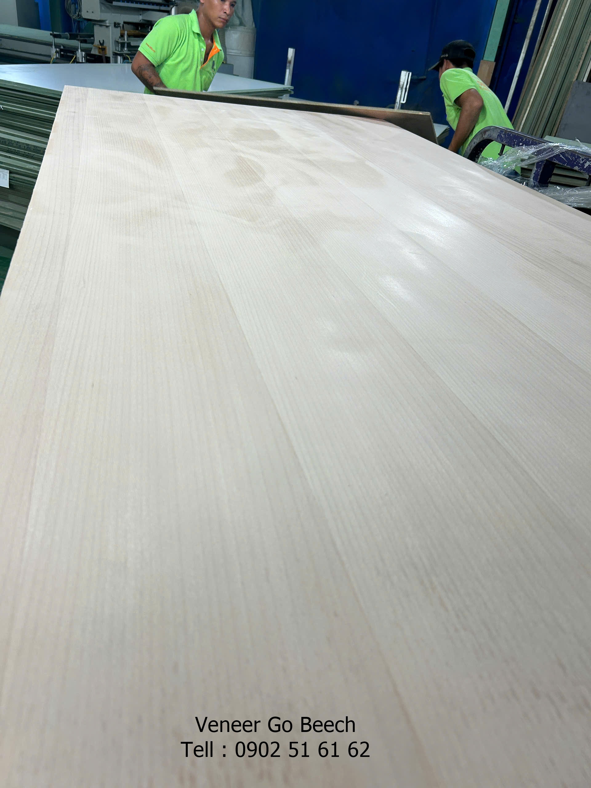 Gỗ veneer dẻ gai - Gỗ beech vân sọc